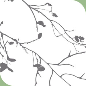 Vinilo autoadhesivo Premium GRENE - lineahogar - Lineafix Adhesive Premium - imagen producto