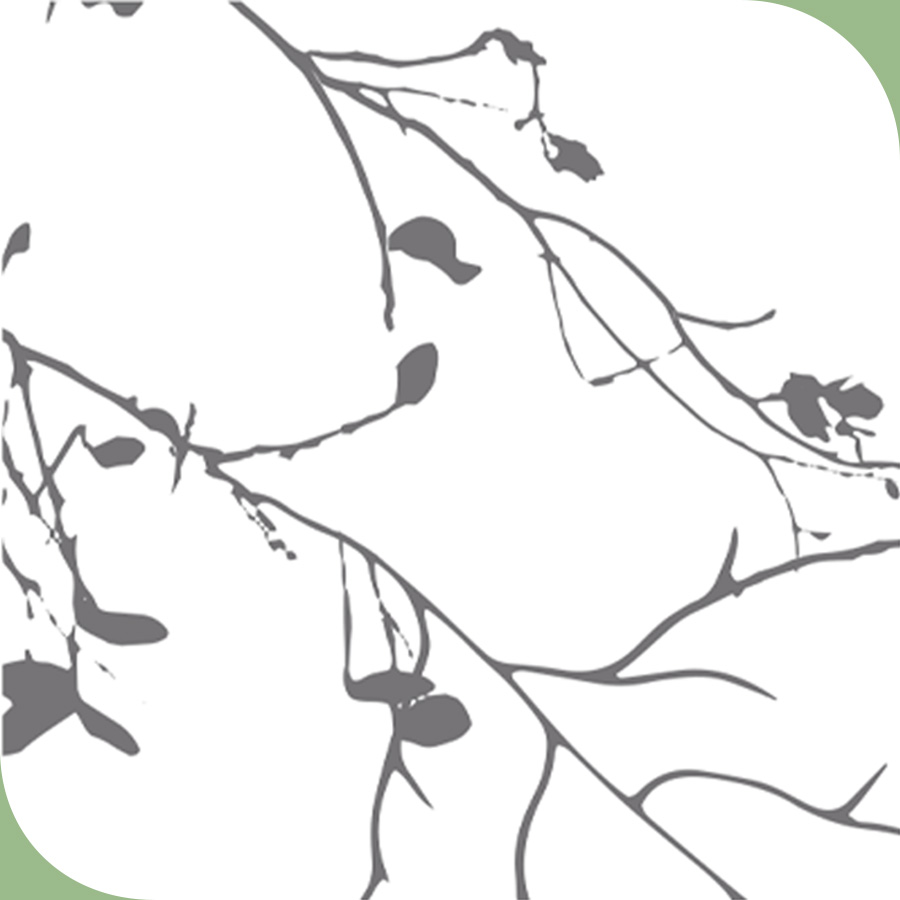 Vinilo autoadhesivo Premium GRENE - lineahogar - Lineafix Adhesive Premium - imagen producto