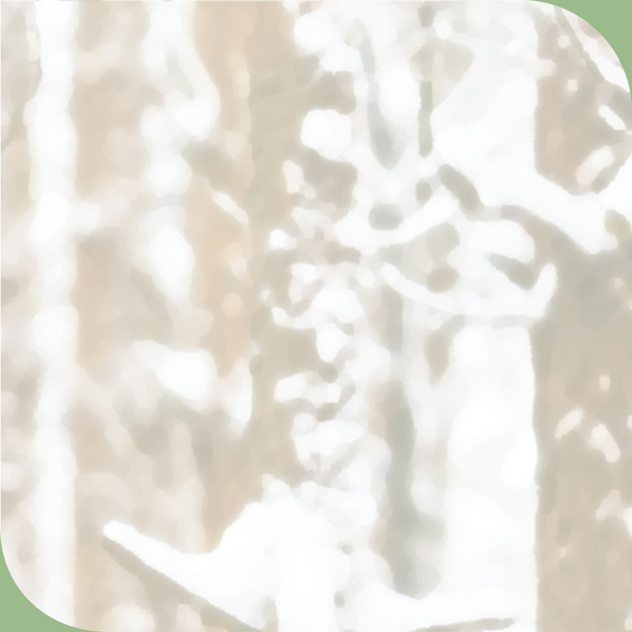 Vinilo autoadhesivo Premium LOKI - lineahogar - Lineafix Adhesive Premium - imagen producto